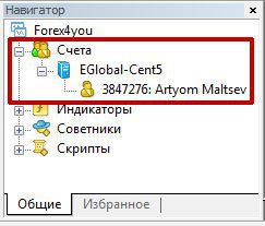 Окно навигатора терминала MetaTrader 4